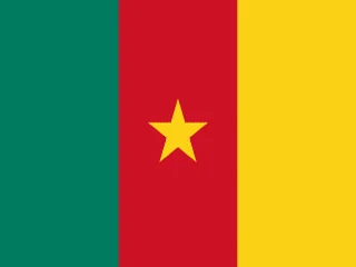 Bandeira dos Camarões
