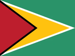 Bandeira da Guiana