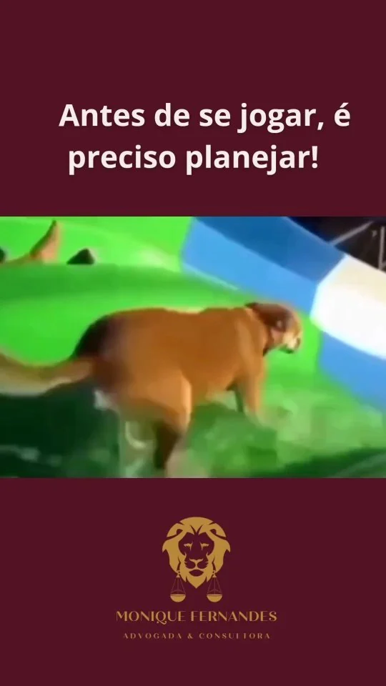 Antes de viajar ou morar em outro país, você precisa realizar um planejamento jurídico para