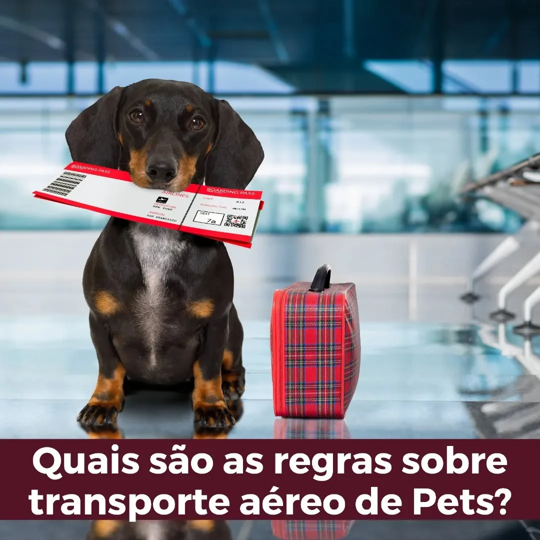 A legislação brasileira relativa ao transporte aéreo de animais ainda está numa fase inicial de desenvolvimento