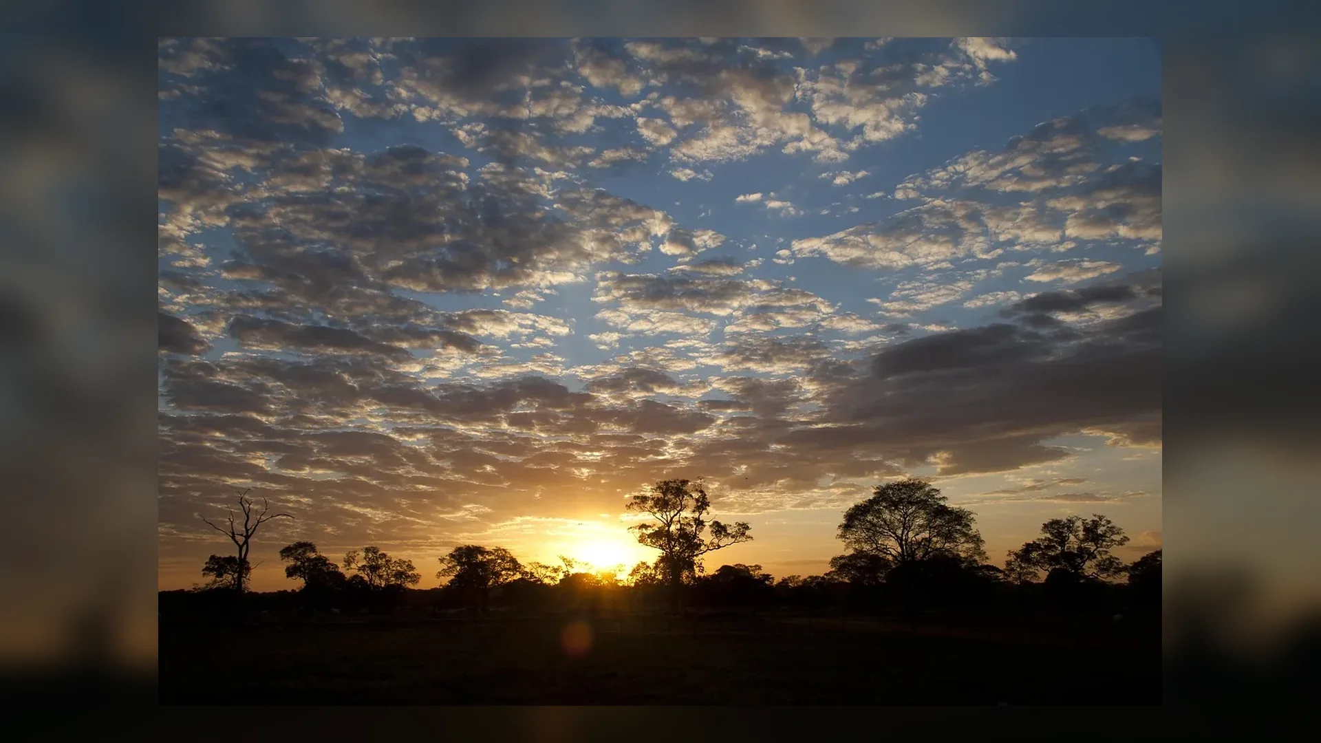 Pantanal no Brasil.