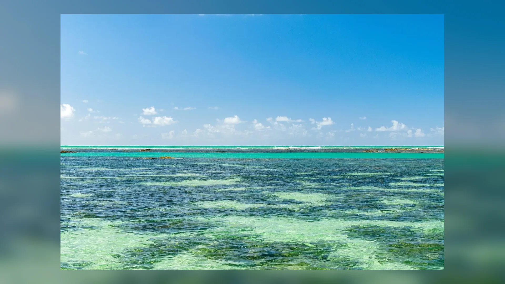 Natural pools of Maragogi in Brazil.