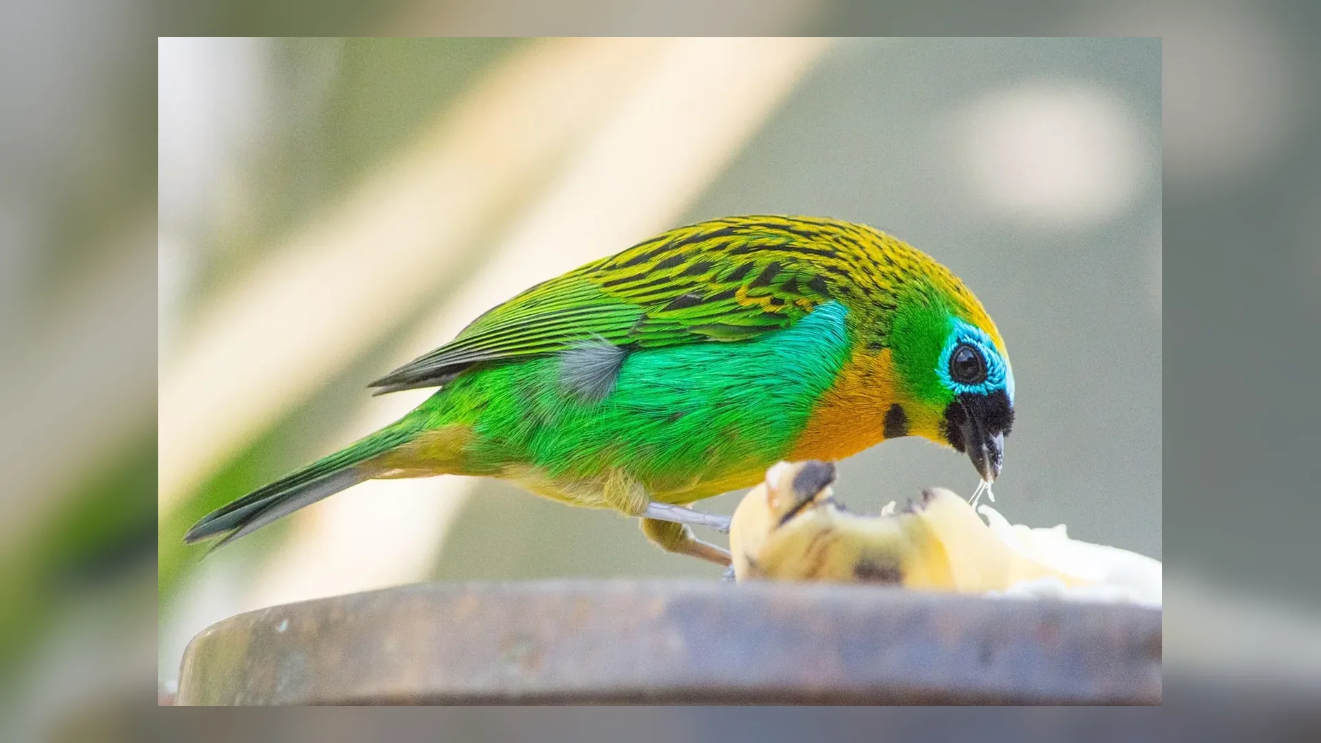 Arquitetura e ruas da Serra do Rio do Rastro no Brasil.